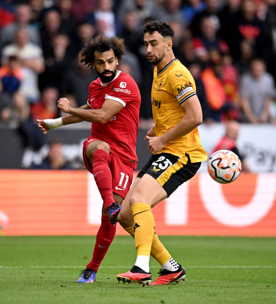 提供了一个 提供了一个