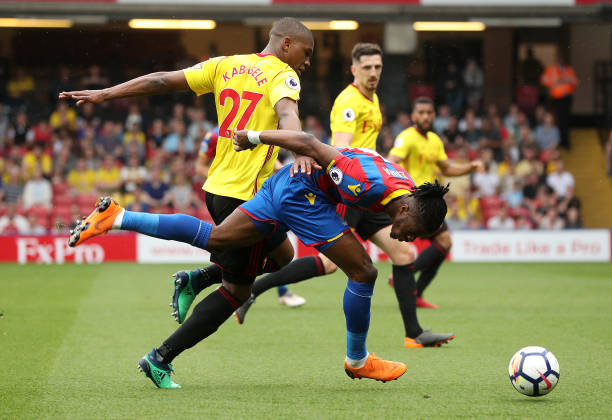 影豹队对广 影豹队对广